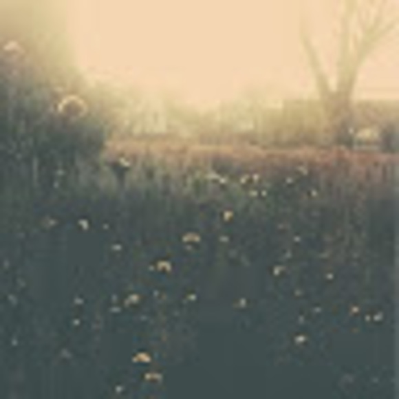 Meet your Posher, Cecily - Picture 1 of 1